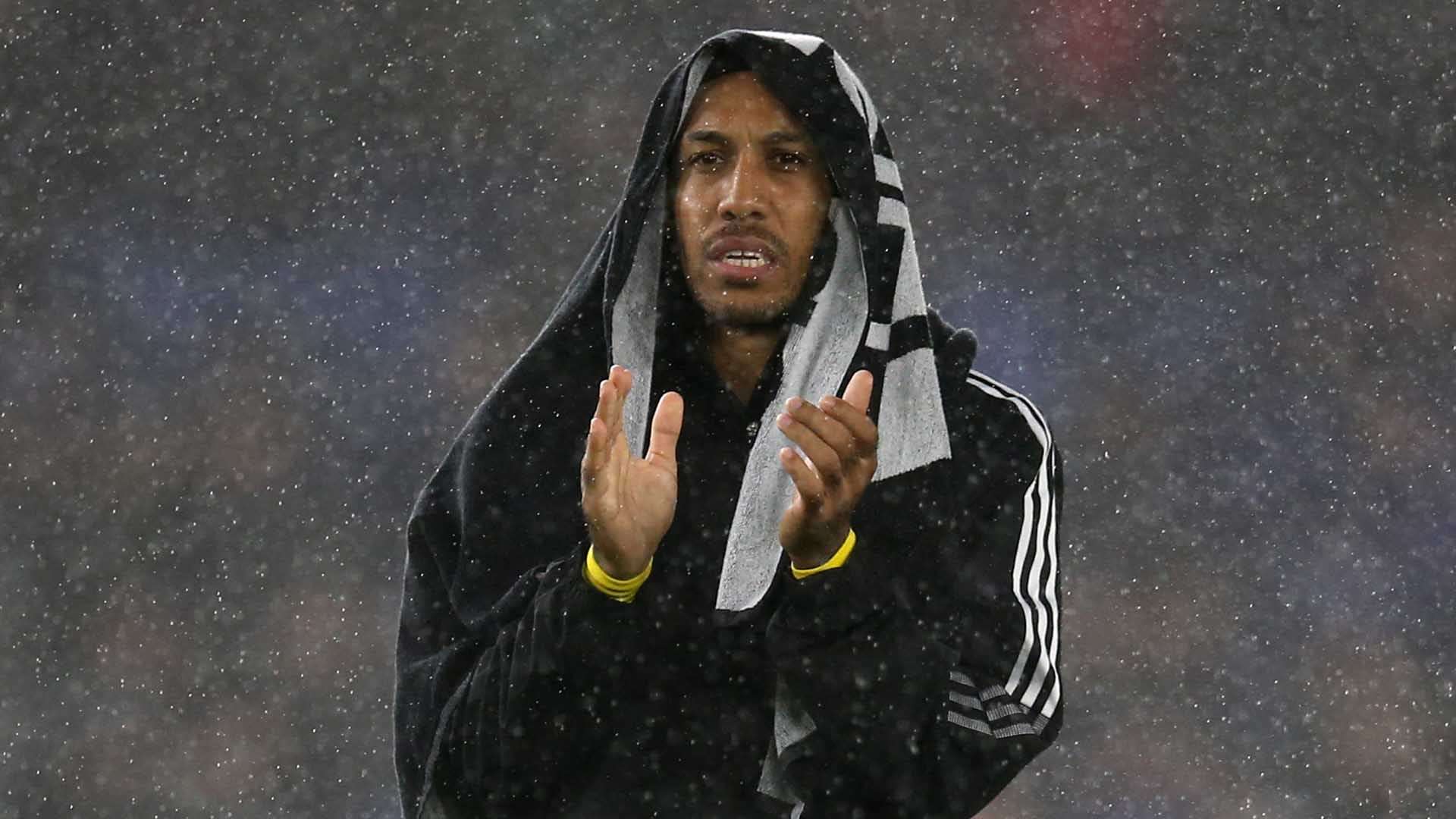 作为一名新 作为一名新