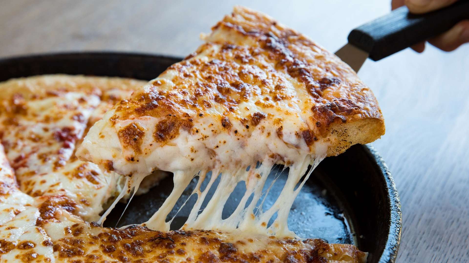 了一定的竞 了一定的竞